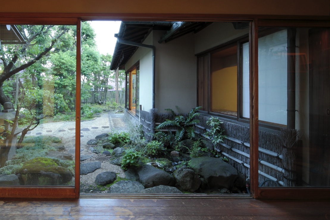 Exterior garden   Exterior garden